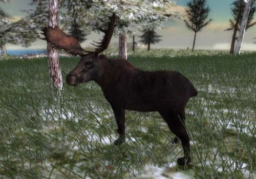North American Hunting Extravaganza 1 (DE)