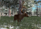 North American Hunting Extravaganza 1 (DE)