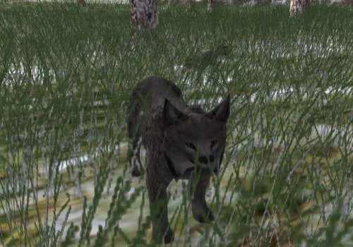 North American Hunting Extravaganza 1 (DE)