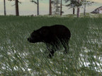 North American Hunting Extravaganza 1