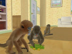 Petz: Die Affen sind los / Monkey Madness (GB)