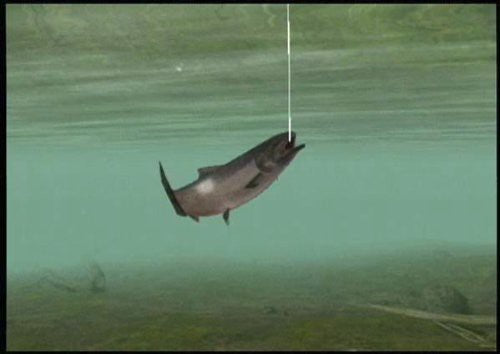 Reel Fishing: Angler's Dream + Angel Controller Aufsatz