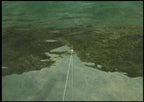 Reel Fishing: Angler's Dream + Angel Controller Aufsatz