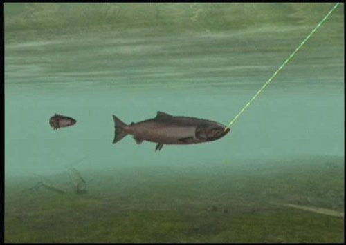 Reel Fishing: Angler's Dream (DE)