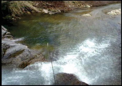 Reel Fishing: Angler's Dream (DE)