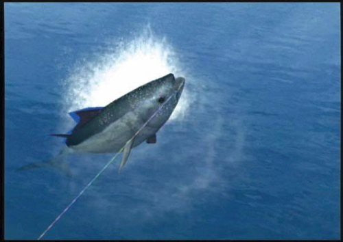 Reel Fishing: Angler's Dream (DE)