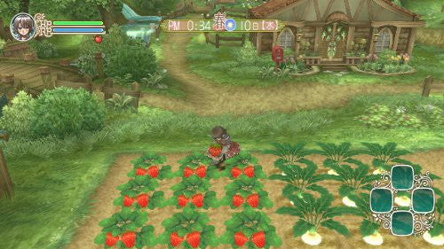 Rune Factory Frontier (DE)