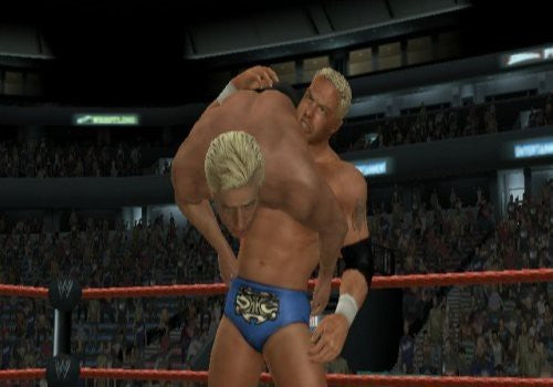 WWE SmackDown vs. RAW 2008 (DE)