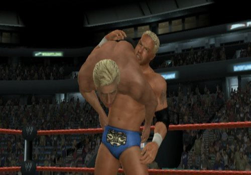 WWE SmackDown vs. RAW 2008 (DE)