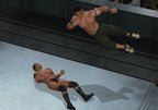 WWE SmackDown vs. RAW 2009 (GB)