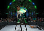 WWE SmackDown vs. RAW 2009 (GB)
