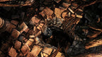 Dark Souls II (DE)