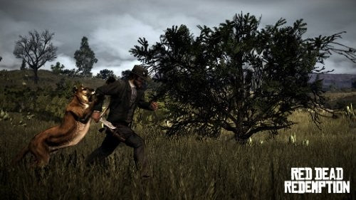 Red Dead Redemption (DE)