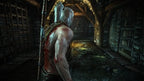 The Witcher 2: Assassins of Kings (GB) — Enhanced Edition