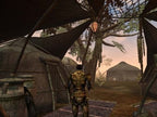 The Elder Scrolls III: Morrowind (DE)